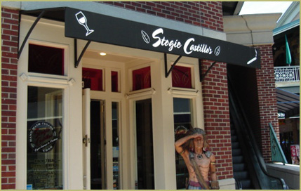 Commercial awning - commercial style awning with graphics for business